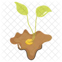 Solo Planta Agricultura Ícone