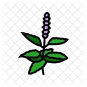 Sagrado Manjericao Ayurvedico Ícone