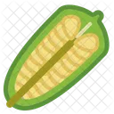 Semi Sesamo Cibo Icon