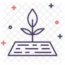 Semillas Alimentos Saludables Icono