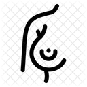 Senólogo  Icono
