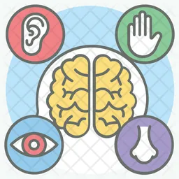 Sensory Activities Icon - Free Download School & Education Icons ...