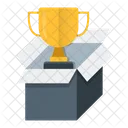 Seo Prize Package Icon