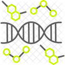 Sequencia De DNA DNA Fita Ícone