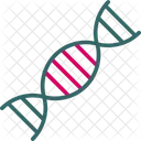 Sequencia De DNA DNA Fita Ícone