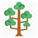 Sequoia  Icon