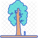 Sequoia Tree Plant Icon