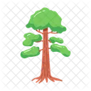 Nature Tree Seasons Icon