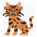 Serengeti Cat  Icon