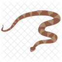 Serpente Serpente Vipera Icon