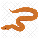 Serpente Serpente Vipera Icon