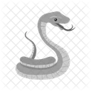 Serpente Animale Fauna Selvatica Icon