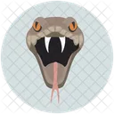 Serpiente Cobra Reptil Icono
