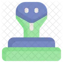 Serpiente Animal Fauna Icono