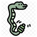 Serpiente  Icono