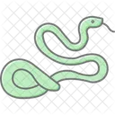 Culebra De Liga Serpiente De Liga Reptil Icono