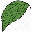 Serrated Leaf Leaf Foliage Icon