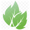 Serrated Leaf Logo Leaves Leaves Logo Icon