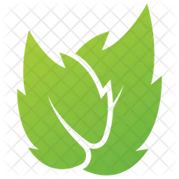 Serrated Leaf  Icon