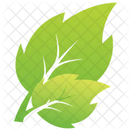 Serrated Leaf  Icon