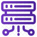 Server Connection Datum Icon