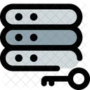 Server Key  Icon