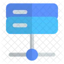 Server Network Server Data Icon