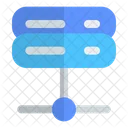 Server Network Server Data Icon
