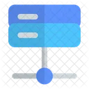 Server Network Server Data Icon