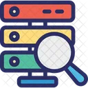 Server Search Magnifying Network Server Icon