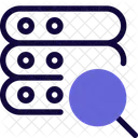 Server Search Database Search Data Search Icon