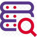 Server Search  Icon