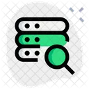 Server Search  Icon