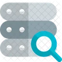 Server Search  Icon