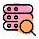 Server Search  Icon