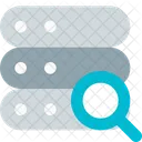 Server Search  Icon