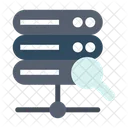Server Search  Icon
