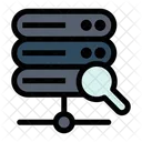 Server Search  Icon