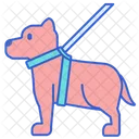 Service Dog Animal Dog Icon