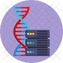 Servidor De DNA DNA Fita De DNA Ícone