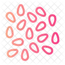 Sesame Chickpea Icon