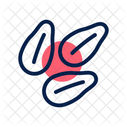 Sesame Icon