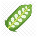 Sesame Food Nut Icon