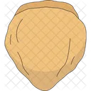 Sesamoid Bone Muscle Icon