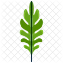 Sessile Greenery Leaf Icon