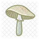 Toadstool Hongo Comida Icono