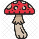 Toadstool Veneno Bosque Icono