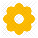 Setting  Icon