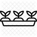 Setzlingsschale Setzling Schale Symbol
