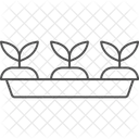 Setzlingsschale Setzling Schale Symbol